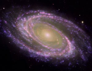 Spiralgalaxie M81, schräg zur irdischen Sichtlinie geneigt, in Mehrwellenlängenlicht gesehen. NASA. Wissenschaft Astronomie Stellar Raum